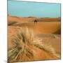 Camel in Sahara Desert-Steven Boone-Mounted Photographic Print