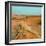 Camel in Sahara Desert-Steven Boone-Framed Photographic Print