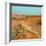 Camel in Sahara Desert-Steven Boone-Framed Photographic Print