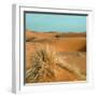 Camel in Sahara Desert-Steven Boone-Framed Photographic Print