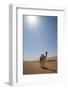 Camel in the Desert, Wahiba, Oman, Middle East-Angelo Cavalli-Framed Photographic Print