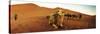 Camel in the Sahara Desert with a Berber Man in the Background, Morocco-null-Stretched Canvas
