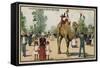 Camel, Jardin D'Acclimation, Paris-null-Framed Stretched Canvas