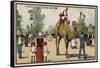 Camel, Jardin D'Acclimation, Paris-null-Framed Stretched Canvas