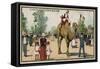 Camel, Jardin D'Acclimation, Paris-null-Framed Stretched Canvas