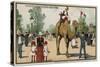 Camel, Jardin D'Acclimation, Paris-null-Stretched Canvas