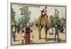 Camel, Jardin D'Acclimation, Paris-null-Framed Giclee Print