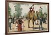 Camel, Jardin D'Acclimation, Paris-null-Framed Giclee Print