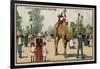 Camel, Jardin D'Acclimation, Paris-null-Framed Giclee Print