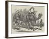 Camel Jingalls-null-Framed Giclee Print