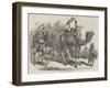 Camel Jingalls-null-Framed Giclee Print