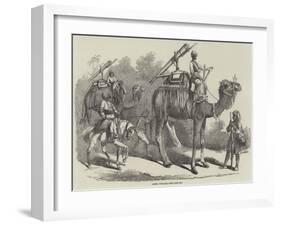 Camel Jingalls-null-Framed Giclee Print