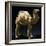 Camel Laden with Goods, Painted Terracotta Statue, China-null-Framed Giclee Print