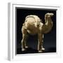 Camel Laden with Goods, Painted Terracotta Statue, China-null-Framed Giclee Print