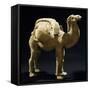 Camel Laden with Goods, Painted Terracotta Statue, China-null-Framed Stretched Canvas