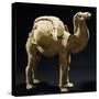 Camel Laden with Goods, Painted Terracotta Statue, China-null-Stretched Canvas