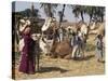 Camel Market, Darwa, Egypt, North Africa, Africa-Doug Traverso-Stretched Canvas