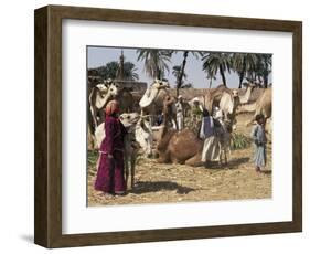 Camel Market, Darwa, Egypt, North Africa, Africa-Doug Traverso-Framed Photographic Print