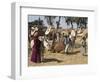 Camel Market, Darwa, Egypt, North Africa, Africa-Doug Traverso-Framed Photographic Print