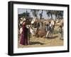 Camel Market, Darwa, Egypt, North Africa, Africa-Doug Traverso-Framed Photographic Print