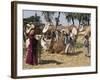 Camel Market, Darwa, Egypt, North Africa, Africa-Doug Traverso-Framed Photographic Print