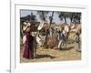 Camel Market, Darwa, Egypt, North Africa, Africa-Doug Traverso-Framed Photographic Print