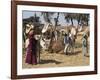 Camel Market, Darwa, Egypt, North Africa, Africa-Doug Traverso-Framed Photographic Print