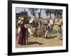 Camel Market, Darwa, Egypt, North Africa, Africa-Doug Traverso-Framed Photographic Print