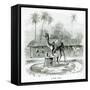 Camel Mill, from Travels in Africa by J.F Elton, 1879-null-Framed Stretched Canvas