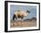 Camel Near Stuart Highway, Outback, Northern Territory, Australia-David Wall-Framed Photographic Print