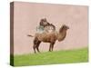 Camel on Pink-Brooke T. Ryan-Stretched Canvas