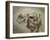 Camel Portrait-Angeles M Pomata-Framed Giclee Print