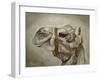 Camel Portrait-Angeles M Pomata-Framed Giclee Print