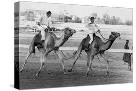 Camel Race in Saudi Arabia in Honour of Queen Elizabeth Ii's Visit to To the Middle East, 1979-null-Stretched Canvas