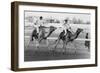 Camel Race in Saudi Arabia in Honour of Queen Elizabeth Ii's Visit to To the Middle East, 1979-null-Framed Photo