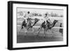 Camel Race in Saudi Arabia in Honour of Queen Elizabeth Ii's Visit to To the Middle East, 1979-null-Framed Photo