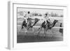 Camel Race in Saudi Arabia in Honour of Queen Elizabeth Ii's Visit to To the Middle East, 1979-null-Framed Photo