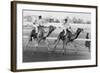 Camel Race in Saudi Arabia in Honour of Queen Elizabeth Ii's Visit to To the Middle East, 1979-null-Framed Photo