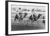 Camel Race in Saudi Arabia in Honour of Queen Elizabeth Ii's Visit to To the Middle East, 1979-null-Framed Photo