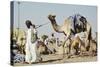 Camel Racing at Al Shahaniya Race Track, 20Km Outside Doha, Qatar, Middle East-Matt-Stretched Canvas