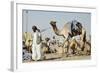 Camel Racing at Al Shahaniya Race Track, 20Km Outside Doha, Qatar, Middle East-Matt-Framed Photographic Print