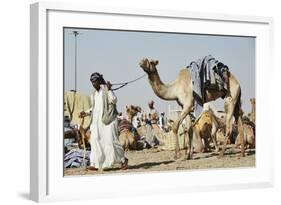 Camel Racing at Al Shahaniya Race Track, 20Km Outside Doha, Qatar, Middle East-Matt-Framed Photographic Print