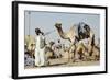 Camel Racing at Al Shahaniya Race Track, 20Km Outside Doha, Qatar, Middle East-Matt-Framed Photographic Print