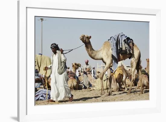 Camel Racing at Al Shahaniya Race Track, 20Km Outside Doha, Qatar, Middle East-Matt-Framed Photographic Print