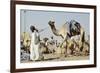 Camel Racing at Al Shahaniya Race Track, 20Km Outside Doha, Qatar, Middle East-Matt-Framed Photographic Print