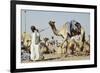 Camel Racing at Al Shahaniya Race Track, 20Km Outside Doha, Qatar, Middle East-Matt-Framed Photographic Print