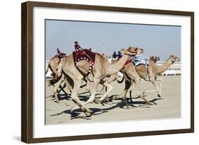 Camel Racing at Al Shahaniya Race Track, 20Km Outside Doha, Qatar, Middle East-Matt-Framed Photographic Print