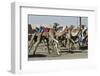 Camel Racing at Al Shahaniya Race Track, 20Km Outside Doha, Qatar, Middle East-Matt-Framed Photographic Print