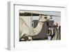 Camel Racing at Al Shahaniya Race Track, 20Km Outside Doha, Qatar, Middle East-Matt-Framed Photographic Print