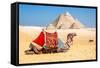 Camel Resting by the Pyramids, Giza, Egypt-Richard Silver-Framed Stretched Canvas